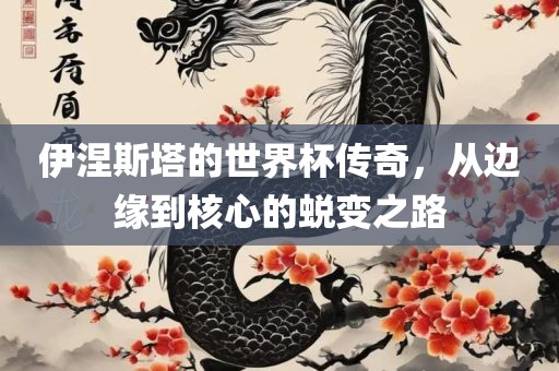 伊涅斯塔的世界杯传奇，从边缘到核心的蜕变之路