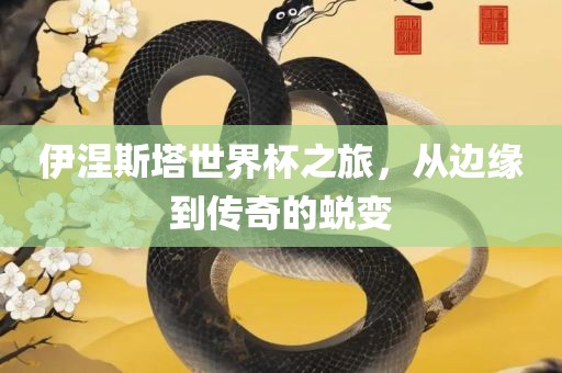 伊涅斯塔世界杯之旅，从边缘到传奇的蜕变