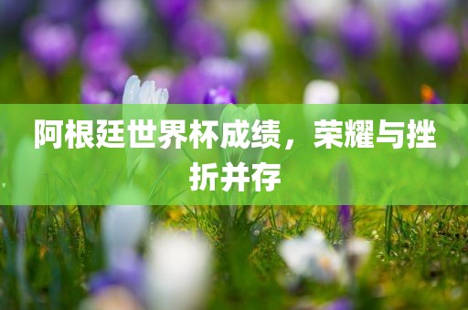 阿根廷世界杯成绩，荣耀与挫折并存