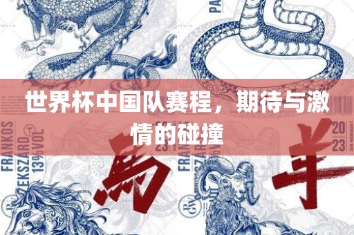 世界杯中国队赛程，期待与激情的碰撞眉山市正发家政服务有限公司