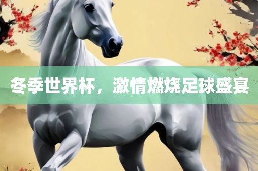 冬季世界杯，激情燃烧足球盛宴眉山市正发家政服务有限公司