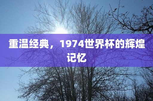重温经典，1974世界杯的辉煌记忆眉山市正发家政服务有限公司