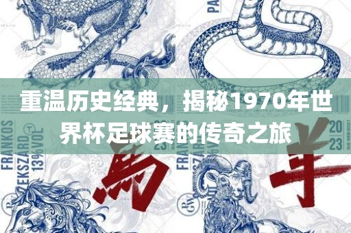 重温历史经典，揭秘1970年世界杯足球赛的传奇之旅眉山市正发家政服务有限公司