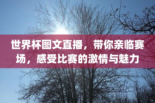 世界杯图文直播，带你亲临赛场，感受比眉山市正发家政服务有限公司赛的激情与魅力