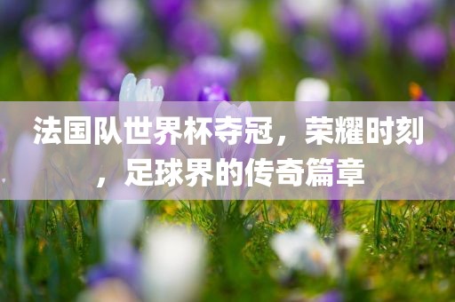 法国队世界杯夺冠，荣耀时刻，足球界的传奇篇章
