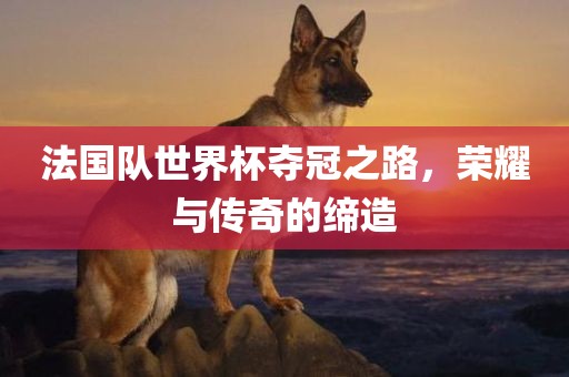 法国队世界杯夺冠之路，荣耀与传奇的缔造眉山市正发家政服务有限公司