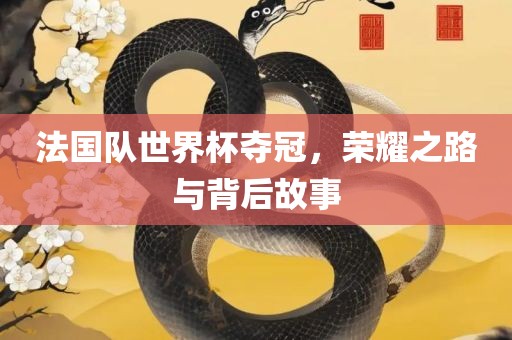 法国队世界杯夺冠，荣耀之路与背后故事
