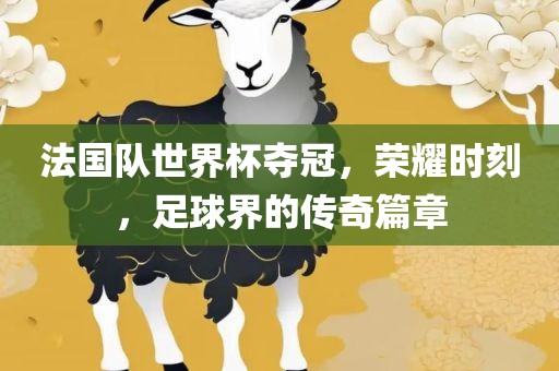 法国队世界杯夺冠，荣耀时刻，足球界的传奇篇章眉山市正发家政服务有限公司