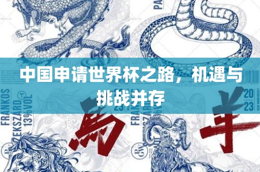 中国申请世界杯之路，机遇眉山市正发家政服务有限公司与挑战并存