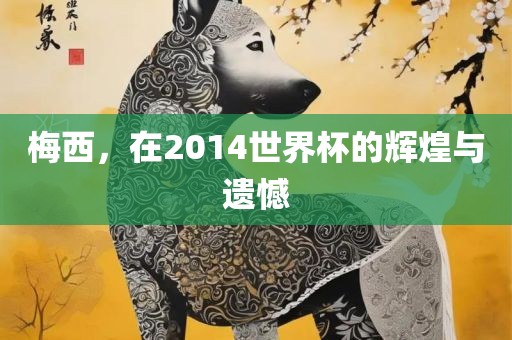 梅西，在2014世界杯的辉煌与遗憾
