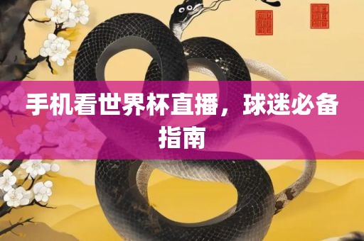 手机看世界杯直播，球迷必备指南眉山市正发家政服务有限公司