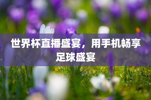 世界杯直播盛宴，用手机畅享足球盛宴眉山市正发家政服务有限公司