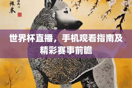 世界杯直播，手机观看指南及精彩赛事前瞻眉山市正发家政服务有限公司