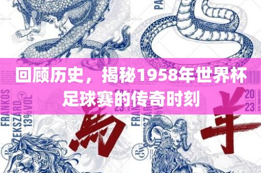 回顾历史，揭秘1958年世界杯足球赛的传奇时刻眉山市正发家政服务有限公司