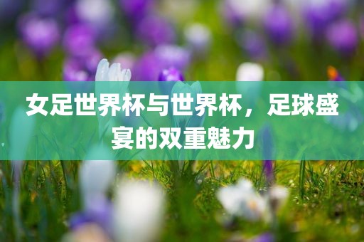 女足世界杯与世界杯，足球盛宴的双重魅力眉山市正发家政服务有限公司