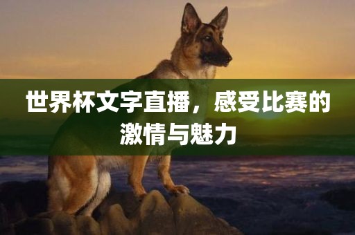 世界杯文字直播，感受比赛的激情与魅力眉山市正发家政服务有限公司