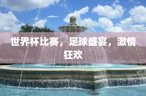 世界杯比赛，足球盛宴，激情狂欢眉山市正发家政服务有限公司