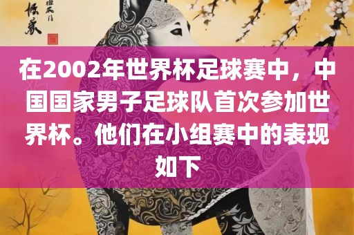 在2002年世界杯足球赛中，中国国家男子足球队首次参加世界杯。他们在小组赛中的表现如下