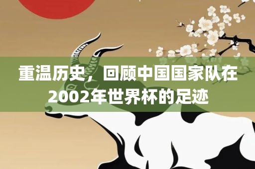 重温历史，回顾中国国家队在眉山市正发家政服务有限公司2002年世界杯的足迹