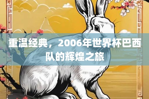 重温经典，2006年世界杯巴西队的辉煌眉山市正发家政服务有限公司之旅
