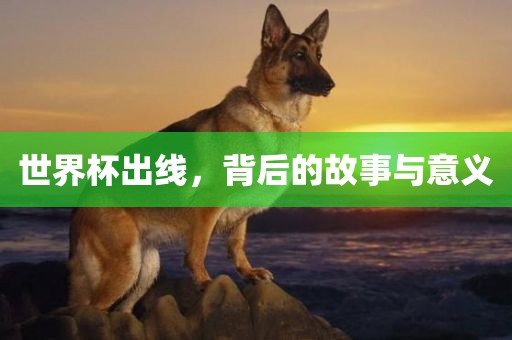 世界杯出线，背后的故事与意义
