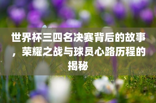 世界杯三四名决赛背后的故事，荣耀之战与球员心路历程的揭秘眉山市正发家政服务有限公司