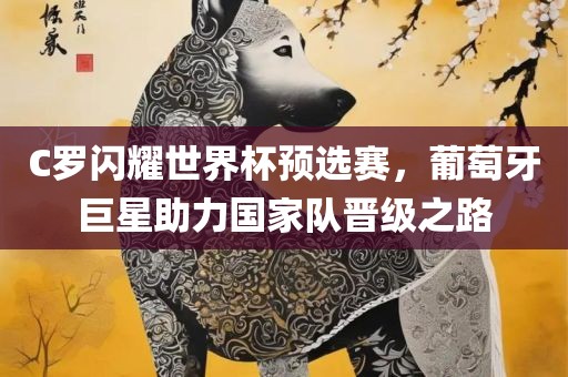 C罗闪耀世界杯预选赛，葡萄牙巨星助力国家队晋级之路