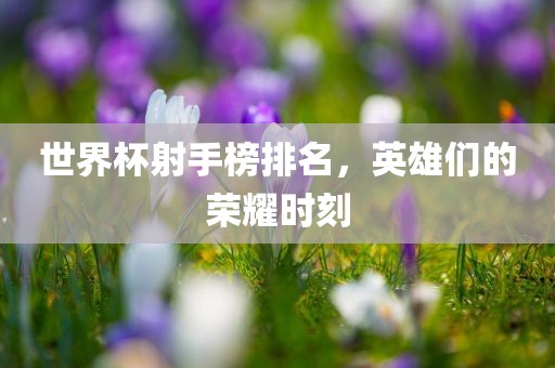 世界杯射手榜排名，英雄们的荣耀时刻眉山市正发家政服务有限公司