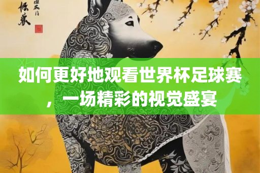 如眉山市正发家政服务有限公司何更好地观看世界杯足球赛，一场精彩的视觉盛宴