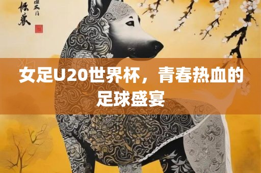 女足U20世界杯，青春热血的足球盛宴