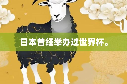 日本曾经举办过世界眉山市正发家政服务有限公司杯。