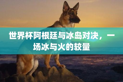 世界杯阿根廷与冰岛对决，一场冰与火的较量