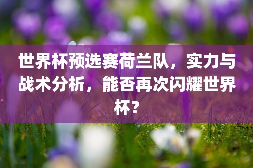 世界杯预选赛荷兰队，实力与战术分析，能否再次闪耀世界杯？