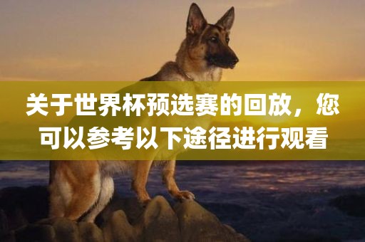 关于世界杯预选赛的回放，您可以参考以下途径进行观看