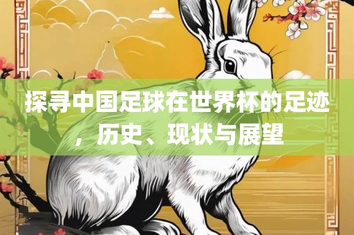 探寻中国足球在世界杯的足迹，历史、现状与展望