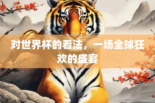 对世界杯的看法，一场全球狂欢的盛宴眉山市正发家政服务有限公司
