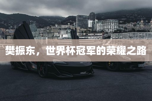 樊振东，世界杯冠军的荣耀眉山市正发家政服务有限公司之路