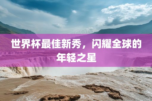 世界杯最佳新秀，闪耀全球的年轻之星眉山市正发家政服务有限公司