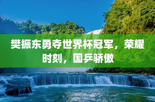 樊振东勇夺世界杯冠军，荣耀时刻，国乒骄傲