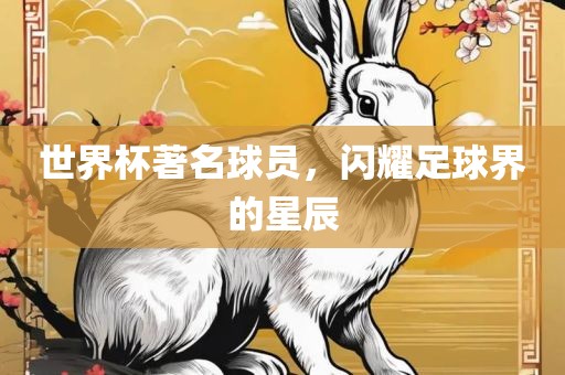 世界杯著名球员，闪耀足眉山市正发家政服务有限公司球界的星辰