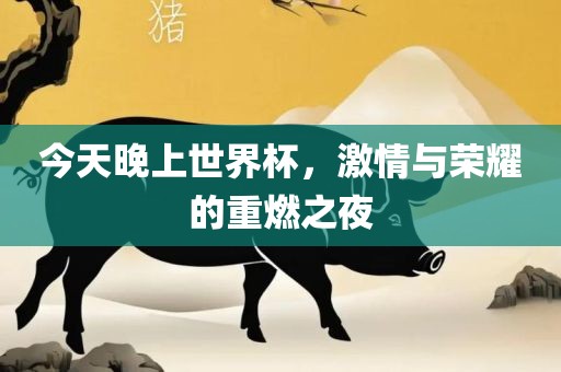 今天晚上世界杯，激情与荣耀的重燃之夜眉山市正发家政服务有限公司