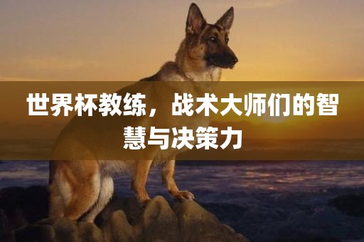 世界杯教练，战术大师们的智慧与决策力眉山市正发家政服务有限公司