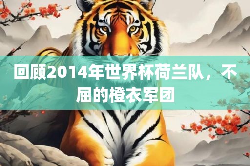 回顾2014年世界杯荷兰队，不屈的橙衣军团眉山市正发家政服务有限公司
