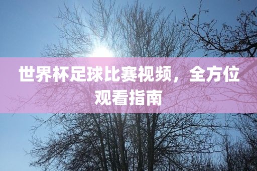 世界杯足球比赛视频，全方位观看指南眉山市正发家政服务有限公司