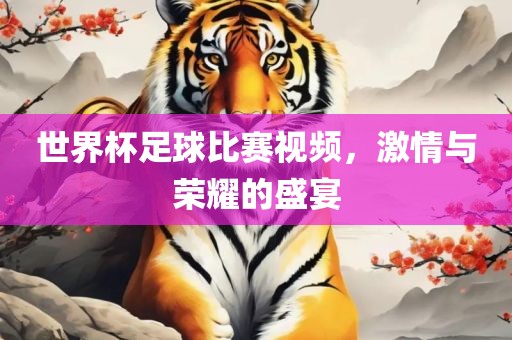 世界杯足球比赛视频，激情与荣耀的盛宴