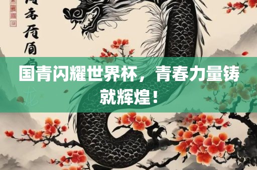 国青闪耀世界杯，青春力量铸就辉煌！眉山市正发家政服务有限公司