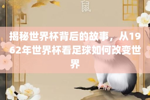 揭秘世界杯背后的故事，从196眉山市正发家政服务有限公司2年世界杯看足球如何改变世界