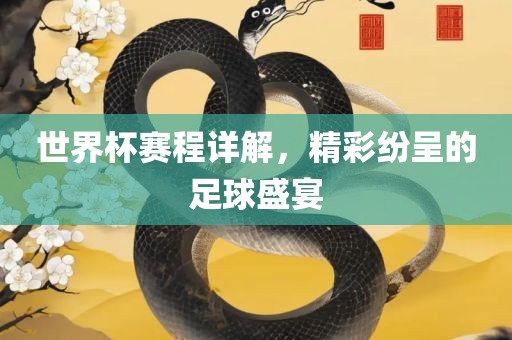 世界杯赛程详解，精彩纷呈的足球盛宴
