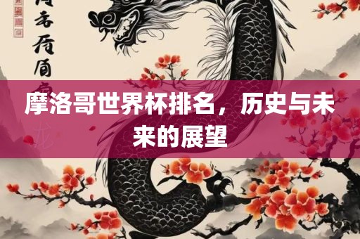 摩洛哥世界杯排名，历史与未来的展望