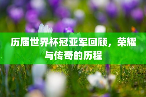 历届世界杯冠亚军回顾，荣耀与传奇的历程